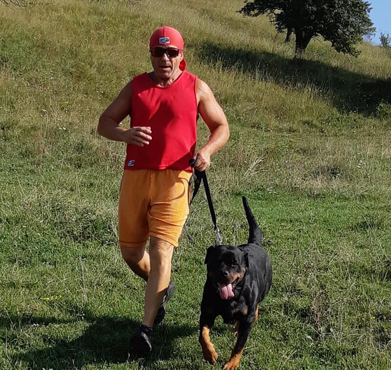 Rottweiler dresati de protectie – Canisa Oderhellen Rottweilers